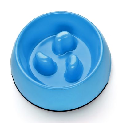 Slow Feed Dog Bowl (Blue) – Pet Cat Small Animal Feeder Food Water ...