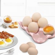 EGG_TRAY_PCL_PNK_2P_C